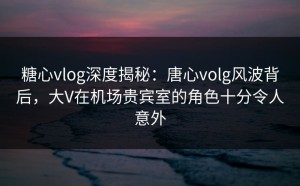 糖心vlog深度揭秘：唐心volg风波背后，大V在机场贵宾室的角色十分令人意外