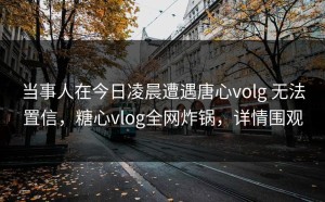 当事人在今日凌晨遭遇唐心volg 无法置信，糖心vlog全网炸锅，详情围观