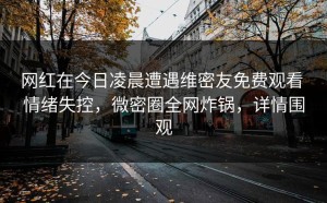 网红在今日凌晨遭遇维密友免费观看 情绪失控，微密圈全网炸锅，详情围观