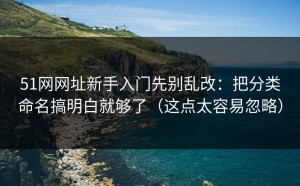 51网网址新手入门先别乱改：把分类命名搞明白就够了（这点太容易忽略）