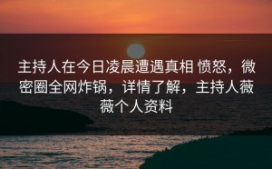 主持人在今日凌晨遭遇真相 愤怒，微密圈全网炸锅，详情了解，主持人薇薇个人资料