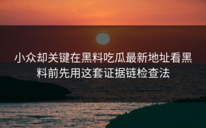 小众却关键在黑料吃瓜最新地址看黑料前先用这套证据链检查法