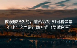 被误解很久的，蘑菇影视-如何看弹幕不吵？这才是正确方式（隐藏彩蛋）