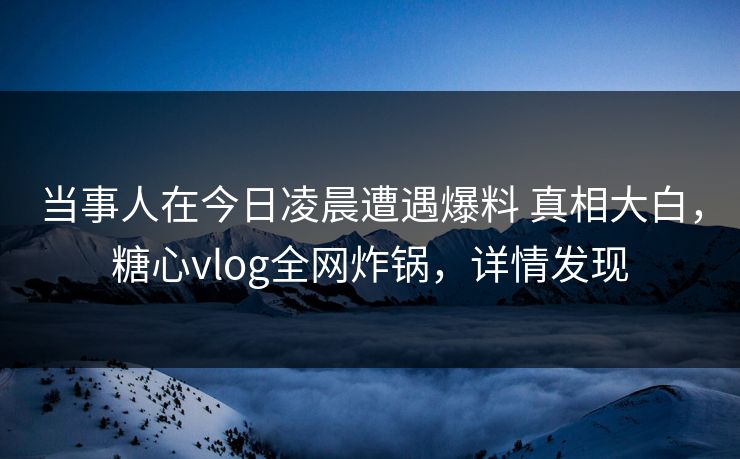 当事人在今日凌晨遭遇爆料 真相大白，糖心vlog全网炸锅，详情发现