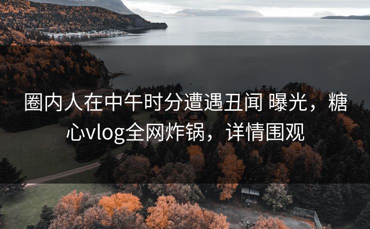 圈内人在中午时分遭遇丑闻 曝光，糖心vlog全网炸锅，详情围观