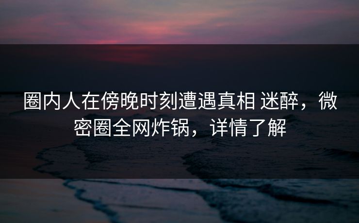 圈内人在傍晚时刻遭遇真相 迷醉，微密圈全网炸锅，详情了解