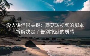 没人讲但很关键：蘑菇短视频的脚本拆解决定了告别拖延的质感