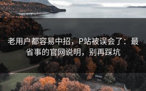 老用户都容易中招，P站被误会了：最省事的官网说明，别再踩坑