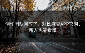 创作团队回应了，对比麻豆APP官网，新人也能看懂